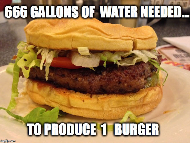 666 GALLONS OF  WATER NEEDED... TO PRODUCE  1   BURGER | image tagged in burger | made w/ Imgflip meme maker