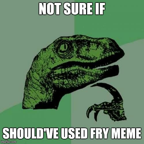 Philosoraptor Meme | NOT SURE IF SHOULD'VE USED FRY MEME | image tagged in memes,philosoraptor | made w/ Imgflip meme maker