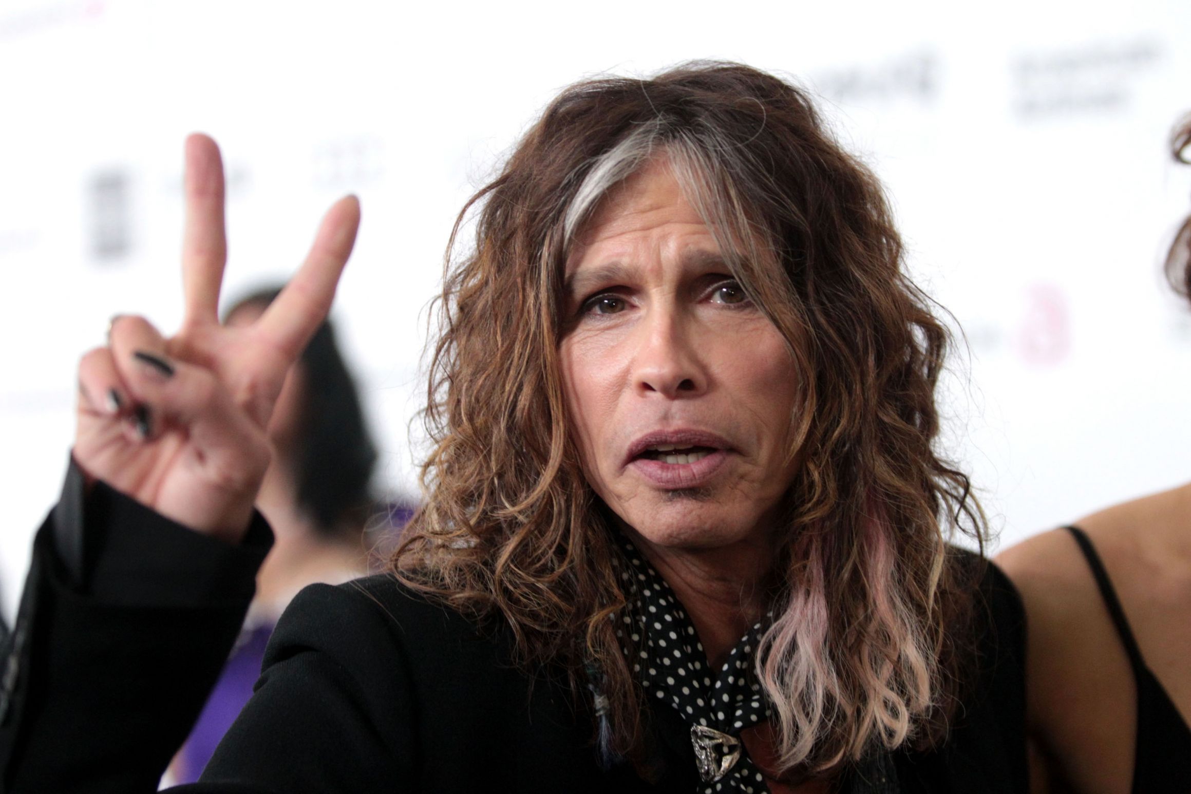 Steven Tyler Blank Meme Template