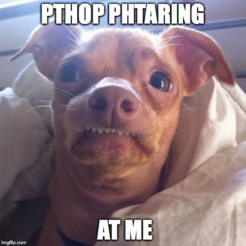 Tuna Dog | PTHOP PHTARING AT ME | image tagged in tuna dog | made w/ Imgflip meme maker