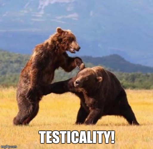 Bear punch | TESTICALITY! | image tagged in bear punch | made w/ Imgflip meme maker