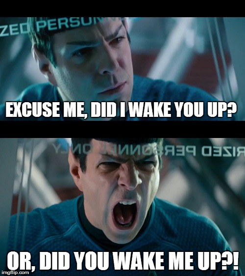 Conundrum | EXCUSE ME, DID I WAKE YOU UP? OR, DID YOU WAKE ME UP?! | image tagged in yellingspock | made w/ Imgflip meme maker