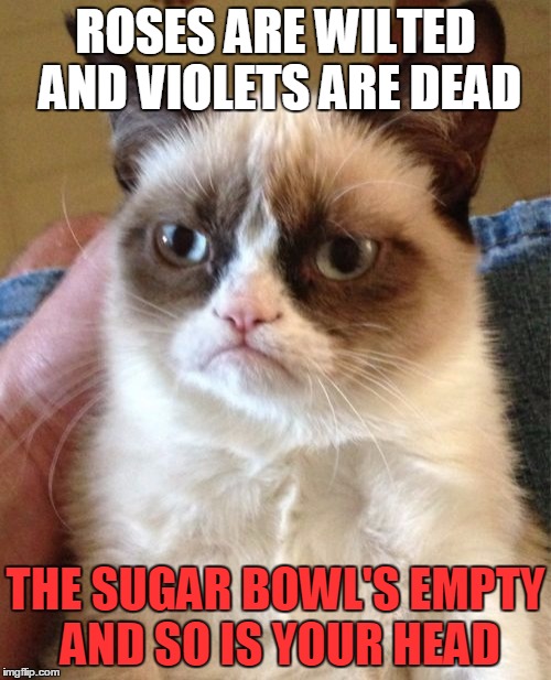 Grumpy Cat | ROSES ARE WILTED AND VIOLETS ARE DEAD THE SUGAR BOWL'S EMPTY AND SO IS YOUR HEAD | image tagged in memes,grumpy cat | made w/ Imgflip meme maker