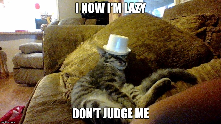 I NOW I'M LAZY DON'T JUDGE ME | image tagged in cat nap | made w/ Imgflip meme maker