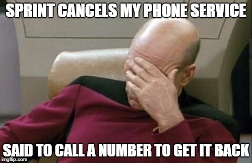 Captain Picard Facepalm Meme | SPRINT CANCELS MY PHONE SERVICE SAID TO CALL A NUMBER TO GET IT BACK | image tagged in memes,captain picard facepalm | made w/ Imgflip meme maker