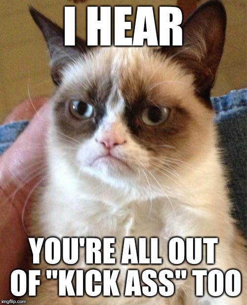 Grumpy Cat Meme | I HEAR YOU'RE ALL OUT OF "KICK ASS" TOO | image tagged in memes,grumpy cat | made w/ Imgflip meme maker