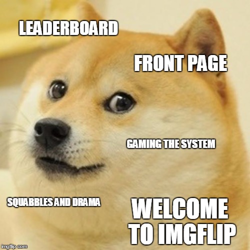 3rd world skeptical kid might have something to say about it all, too.... | LEADERBOARD FRONT PAGE GAMING THE SYSTEM SQUABBLES AND DRAMA WELCOME TO IMGFLIP | image tagged in memes,doge | made w/ Imgflip meme maker