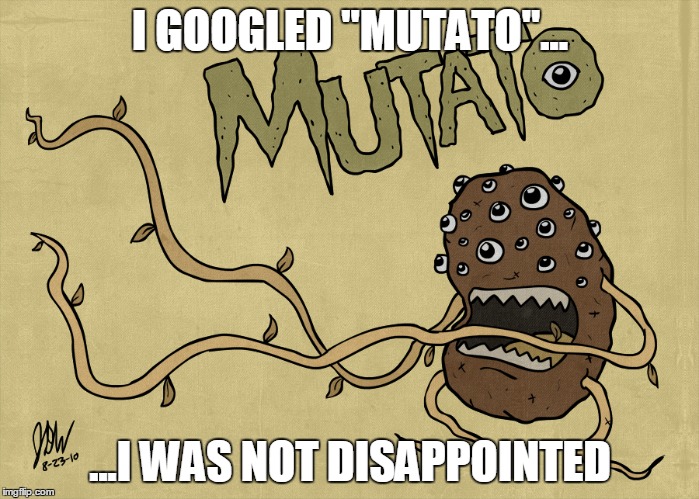 Run!! It's a MUTATO!!! | I GOOGLED "MUTATO"... ...I WAS NOT DISAPPOINTED | image tagged in potato,funny,mutato | made w/ Imgflip meme maker