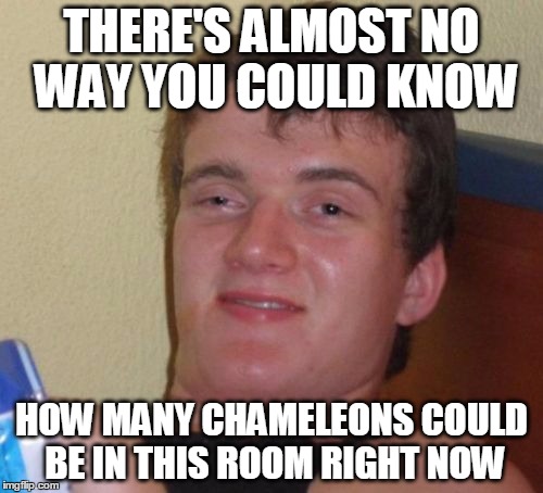 10 Guy Meme | THERE'S ALMOST NO WAY YOU COULD KNOW HOW MANY CHAMELEONS COULD BE IN THIS ROOM RIGHT NOW | image tagged in memes,10 guy | made w/ Imgflip meme maker