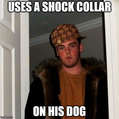 Scumbag Steve Meme | USES A SHOCK COLLAR ON HIS DOG | image tagged in memes,scumbag steve | made w/ Imgflip meme maker