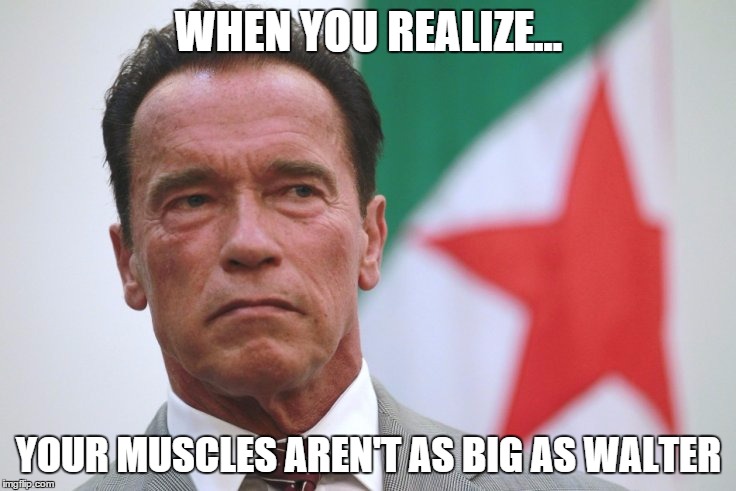 WHEN YOU REALIZE... YOUR MUSCLES AREN'T AS BIG AS WALTER | image tagged in walter | made w/ Imgflip meme maker