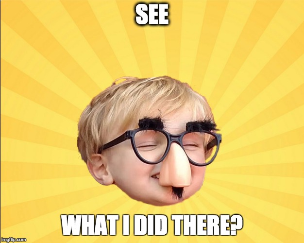 SEE WHAT I DID THERE? | image tagged in see what i did there kid | made w/ Imgflip meme maker