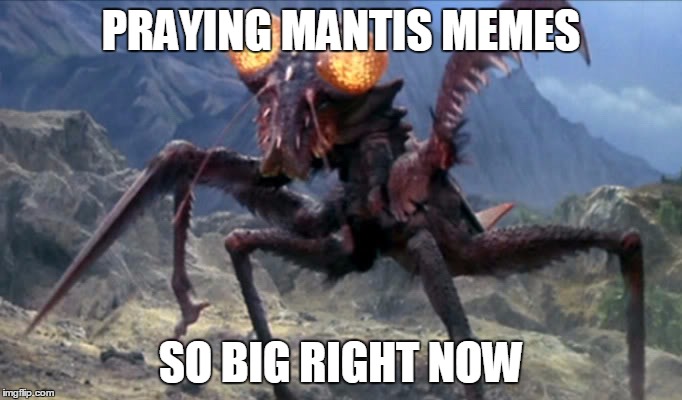 Kamacuras | PRAYING MANTIS MEMES SO BIG RIGHT NOW | image tagged in kamacuras,mantis | made w/ Imgflip meme maker