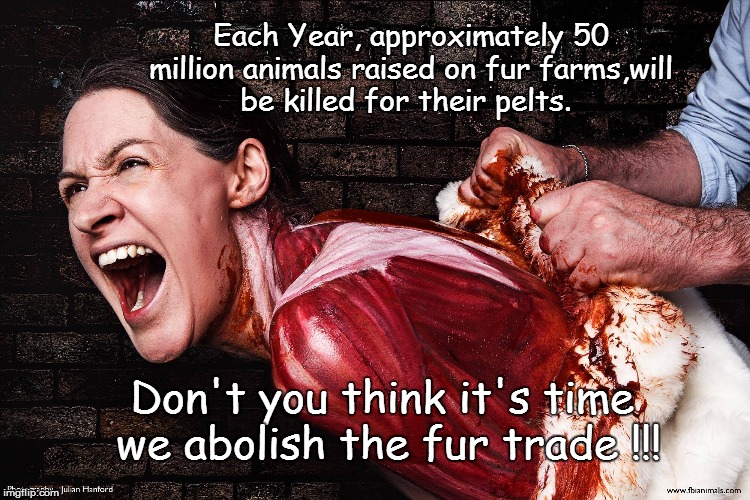 Fur has a face | Don't you think it's time we abolish the fur trade !!! Each Year, approximately 50 million animals raised on fur farms,will be killed for th | image tagged in fur,fur trade,fur farms,animal rights,animal abuse | made w/ Imgflip meme maker
