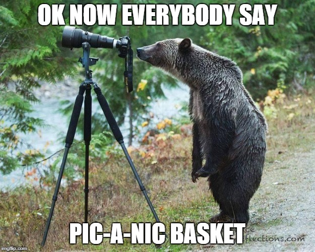 OK NOW EVERYBODY SAY PIC-A-NIC BASKET | image tagged in bear,camera | made w/ Imgflip meme maker