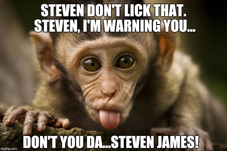 Don't do it! | STEVEN DON'T LICK THAT. STEVEN, I'M WARNING YOU... DON'T YOU DA...STEVEN JAMES! | image tagged in memes | made w/ Imgflip meme maker