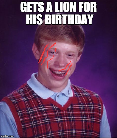 Bad Luck Brian Meme | GETS A LION FOR HIS BIRTHDAY | image tagged in memes,bad luck brian | made w/ Imgflip meme maker