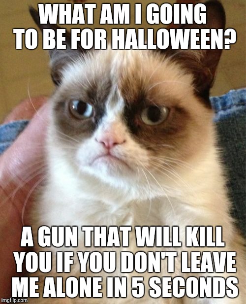 Grumpy Cat Meme | WHAT AM I GOING TO BE FOR HALLOWEEN? A GUN THAT WILL KILL YOU IF YOU DON'T LEAVE ME ALONE IN 5 SECONDS | image tagged in memes,grumpy cat | made w/ Imgflip meme maker