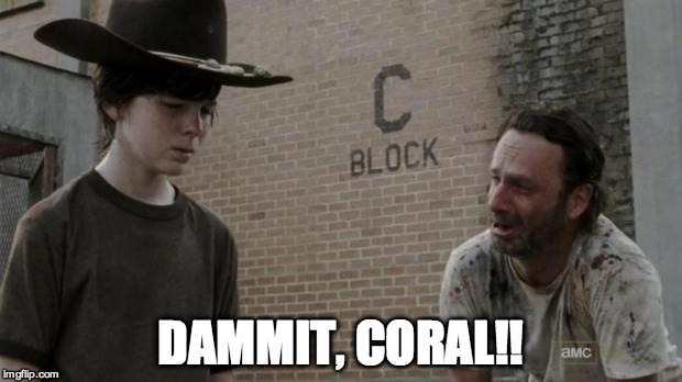 Dammit, Coral! | DAMMIT, CORAL!! | image tagged in coral | made w/ Imgflip meme maker