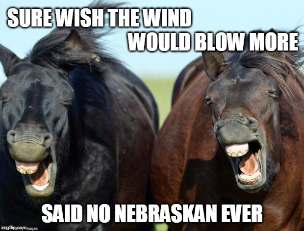 Horses | SURE WISH THE WIND SAID NO NEBRASKAN EVER WOULD BLOW MORE | image tagged in horses | made w/ Imgflip meme maker