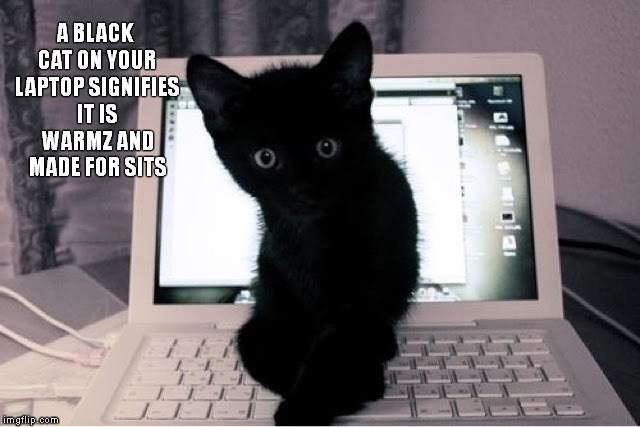 There's no use arguing with Laptop Kitteh...he already has your soul. | A BLACK CAT ON YOUR LAPTOP SIGNIFIES IT IS WARMZ AND MADE FOR SITS | image tagged in memes,funny memes,black cat,made for sits,shaitans muse | made w/ Imgflip meme maker
