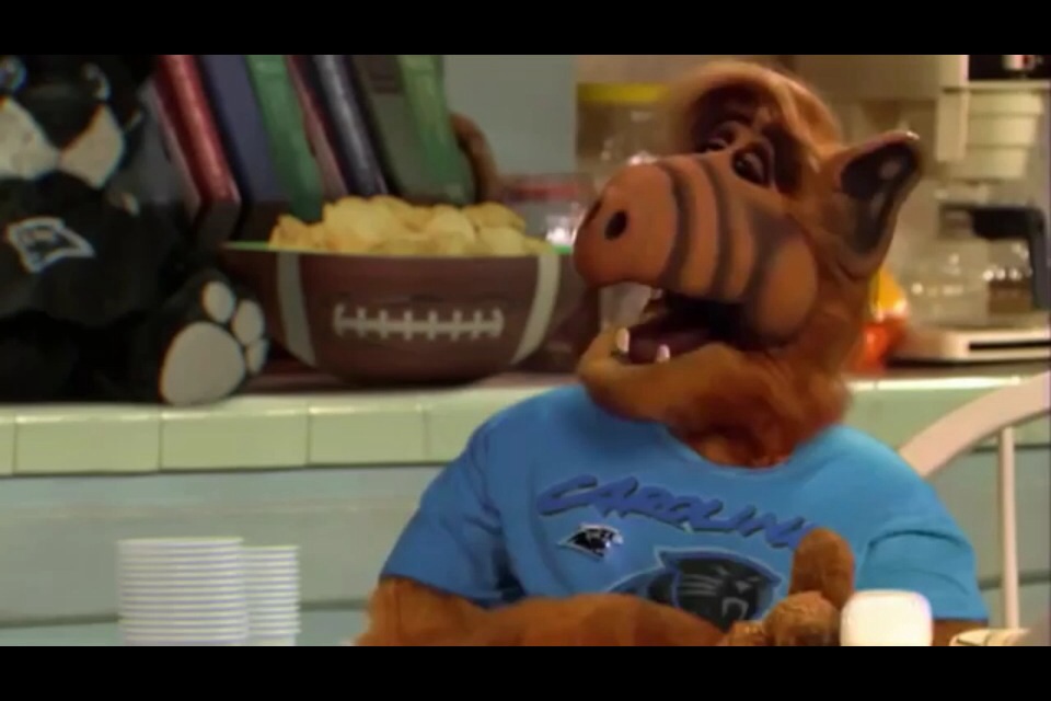 Panther Fan Alf Blank Meme Template