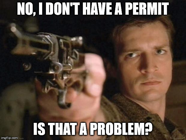 Firefly | NO, I DON'T HAVE A PERMIT IS THAT A PROBLEM? | image tagged in firefly | made w/ Imgflip meme maker