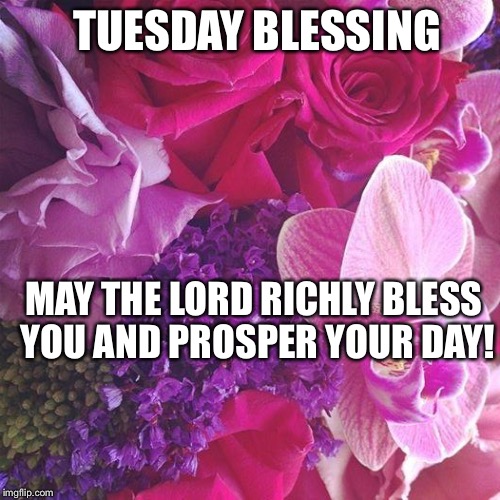 Flowers | TUESDAY BLESSING MAY THE LORD RICHLY BLESS YOU AND PROSPER YOUR DAY! | image tagged in flowers | made w/ Imgflip meme maker