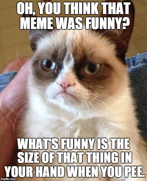 Grumpy Cat Meme | OH, YOU THINK THAT MEME WAS FUNNY? WHAT'S FUNNY IS THE SIZE OF THAT THING IN YOUR HAND WHEN YOU PEE. | image tagged in memes,grumpy cat | made w/ Imgflip meme maker