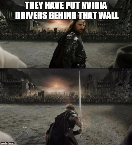 Aragorn in battle | THEY HAVE PUT NVIDIA DRIVERS BEHIND THAT WALL | image tagged in aragorn in battle | made w/ Imgflip meme maker