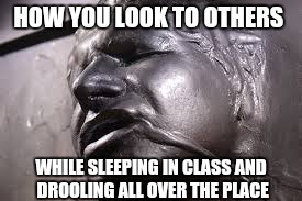HOW YOU LOOK TO OTHERS WHILE SLEEPING IN CLASS AND DROOLING ALL OVER THE PLACE | image tagged in han solo | made w/ Imgflip meme maker