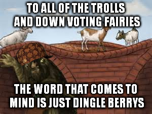 DOWN VOTE FAIRIES | TO ALL OF THE TROLLS AND DOWN VOTING FAIRIES THE WORD THAT COMES TO MIND IS JUST DINGLE BERRYS | image tagged in memes | made w/ Imgflip meme maker