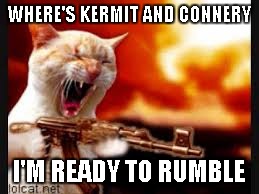 Cat Gone Crazy | WHERE'S KERMIT AND CONNERY I'M READY TO RUMBLE | image tagged in cat gone crazy | made w/ Imgflip meme maker
