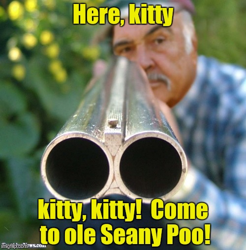 Connery Shotgun | Here, kitty kitty, kitty!  Come to ole Seany Poo! | image tagged in connery shotgun | made w/ Imgflip meme maker