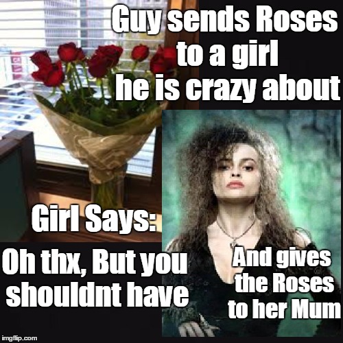 Flowers For A Bitch | Guy sends Roses to a girl he is crazy about Girl Says: Oh thx, But you shouldnt have And gives the Roses to her Mum | image tagged in bitch,roses,bitches be like | made w/ Imgflip meme maker
