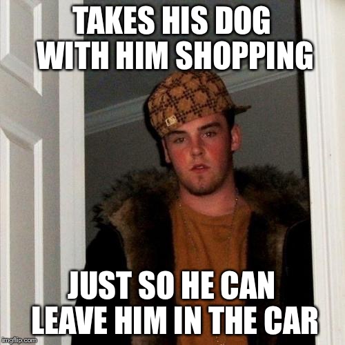 Man's Best Friend's Worst Scumbag | TAKES HIS DOG WITH HIM SHOPPING JUST SO HE CAN LEAVE HIM IN THE CAR | image tagged in memes,scumbag steve,dogs | made w/ Imgflip meme maker