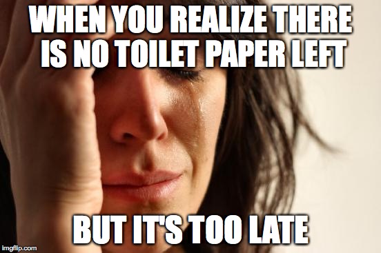 First World Problems | WHEN YOU REALIZE THERE IS NO TOILET PAPER LEFT BUT IT'S TOO LATE | image tagged in memes,first world problems | made w/ Imgflip meme maker