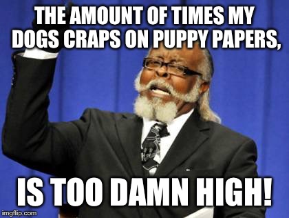 Too Damn High | THE AMOUNT OF TIMES MY DOGS CRAPS ON PUPPY PAPERS, IS TOO DAMN HIGH! | image tagged in memes,too damn high | made w/ Imgflip meme maker