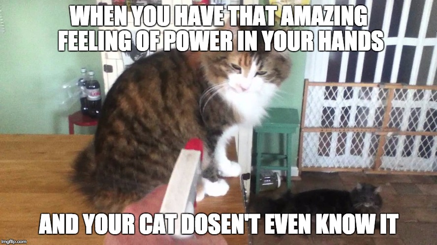 After finding my lost spray bottle, im looking forward to my cat misbehaving >:) | WHEN YOU HAVE THAT AMAZING FEELING OF POWER IN YOUR HANDS AND YOUR CAT DOSEN'T EVEN KNOW IT | image tagged in grumpy cat,cats,bad joke eel,bad luck brian,demotivationals,first world problems | made w/ Imgflip meme maker