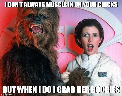 chewy | I DON'T ALWAYS MUSCLE IN ON YOUR CHICKS BUT WHEN I DO I GRAB HER BOOBIES | image tagged in chewy | made w/ Imgflip meme maker