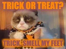 Halloween grumpy cat | TRICK OR TREAT? TRICK. SMELL MY FEET | image tagged in memes,grumpy cat halloween,grumpy cat,justjeff | made w/ Imgflip meme maker