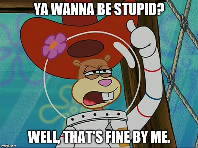YA WANNA BE STUPID? WELL, THAT'S FINE BY ME. | image tagged in memes,spongebob,stupid people,funny memes,squirrel | made w/ Imgflip meme maker