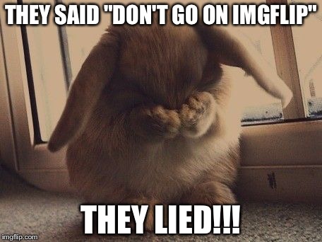 Sad bunny | THEY SAID "DON'T GO ON IMGFLIP" THEY LIED!!! | image tagged in bunny,sadz | made w/ Imgflip meme maker