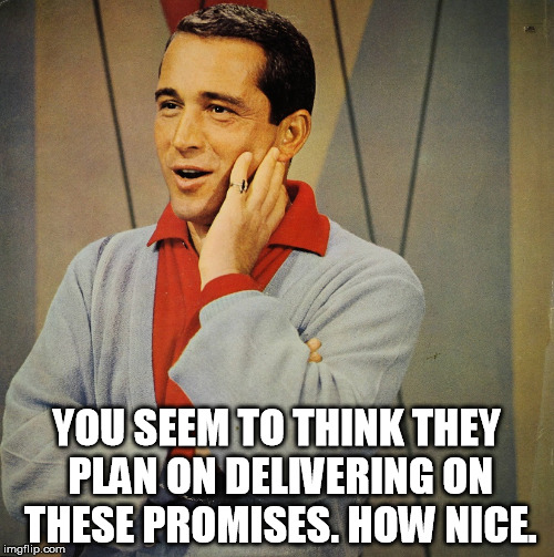 Perry | YOU SEEM TO THINK THEY PLAN ON DELIVERING ON THESE PROMISES. HOW NICE. | image tagged in perry | made w/ Imgflip meme maker