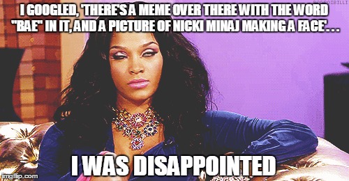 I GOOGLED, 'THERE'S A MEME OVER THERE WITH THE WORD "BAE" IN IT, AND A PICTURE OF NICKI MINAJ MAKING A FACE'. . . I WAS DISAPPOINTED | made w/ Imgflip meme maker