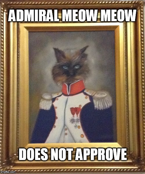 Admiral Meow Meow does not approve | ADMIRAL MEOW MEOW DOES NOT APPROVE | image tagged in cats,humor,disapproval | made w/ Imgflip meme maker