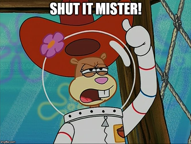 Shut it, mister! | SHUT IT MISTER! | image tagged in spongebob,cowboy hat,squirrel,memes,funny memes | made w/ Imgflip meme maker