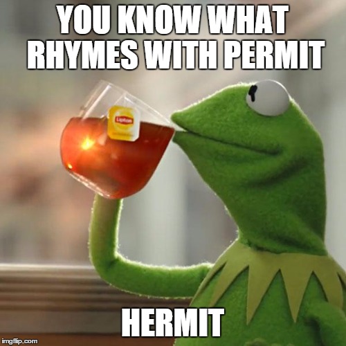 But That's None Of My Business Meme | YOU KNOW WHAT RHYMES WITH PERMIT HERMIT | image tagged in memes,but thats none of my business,kermit the frog | made w/ Imgflip meme maker