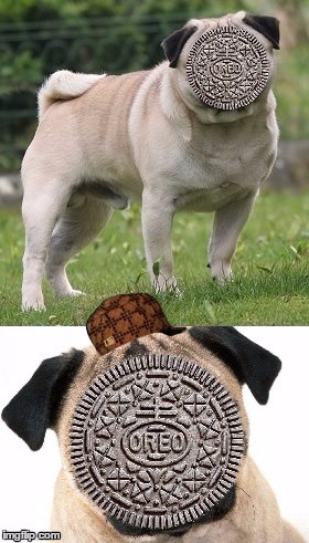 image tagged in pug life, sweet life,scumbag | made w/ Imgflip meme maker