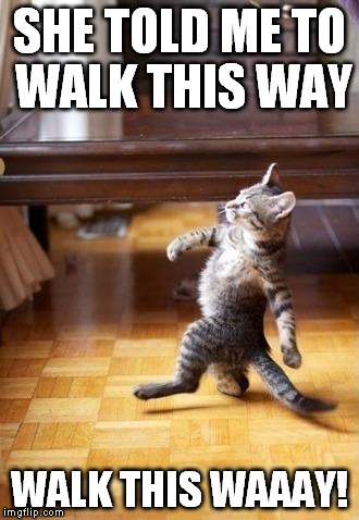 Cool Cat Stroll | SHE TOLD ME TO WALK THIS WAY WALK THIS WAAAY! | image tagged in memes,cool cat stroll | made w/ Imgflip meme maker